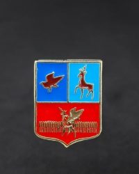 PIN ESCUDO OÑATE