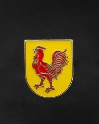 PIN ESCUDO OREJA