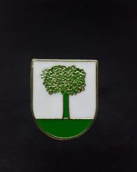 PIN ESCUDO ALZAGA