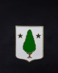 PIN ESCUDO RÉGIL