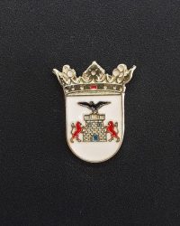 pin escudo tobarra
