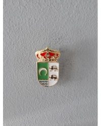 PIN ESCUDO HUECAS