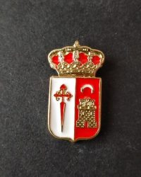 PIN ESCUDO ALCUBILLAS