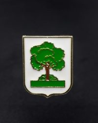 PIN ESCUDO ALZO