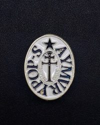 pin escut Aiguamúrcia