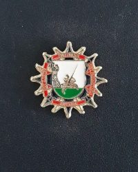 pin escudo arevalo