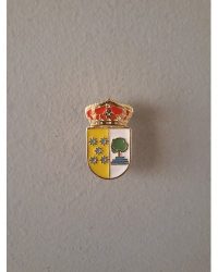 PIN ESCUDO LAYOS