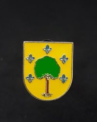 PIN ESCUDO VILLABONA