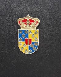 PIN ESCUDO LARDERO