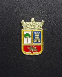 el espinar