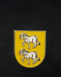 PIN ESCUDO ZALDIVIA