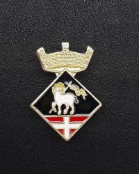 pin escut Aiguaviva