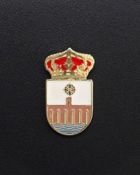 PIN ESCUDO ALCÁNTARA