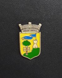 pin escudo viver i serrateix