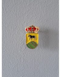 PIN ESCUDO MENASALBAS