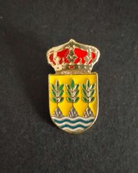 PIN ESCUDO ALBOX