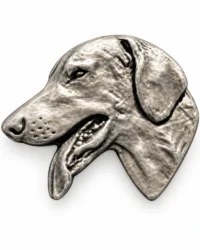 American Foxhound