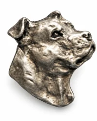 American Staffordshire Bull Terrier