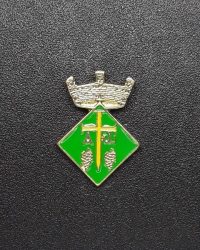 pin escudo avinyó