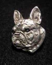 Bulldog Frances