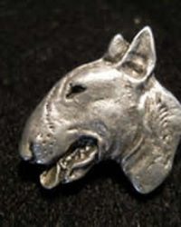 Bull Terrier