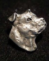 American Staffordshire Bull Terrier