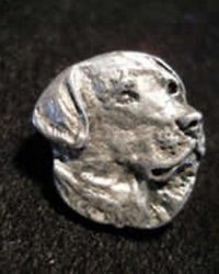 Labrador golden