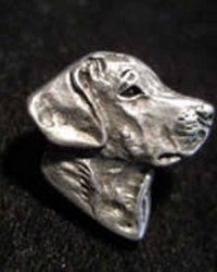 Dalmata