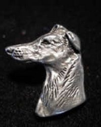 Whippet