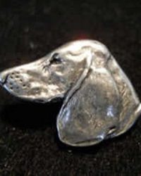 Dachshund