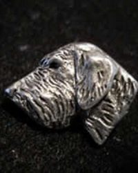 Wirehaired Pointing Griffon