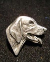 Foxhound Americano