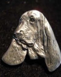 Bloodhound