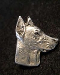 pin Dobermann