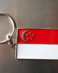 SINGAPORE FLAG