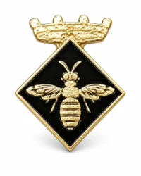pin escudo abella de la conca