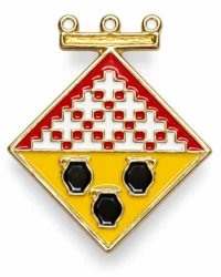 pin escudo aiguafreda