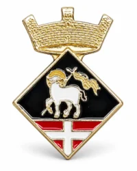 pin escudo Aiguaviva