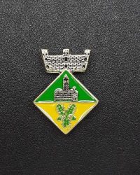 pin escut Alàs i Cerc