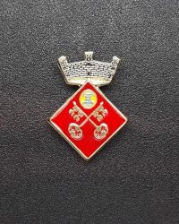 pin escut Albanyà