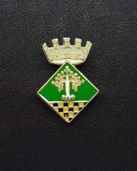 pin escut Albesa