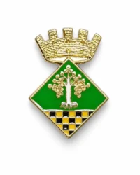 pin escudo albesa