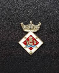pin escut Aldea, L'