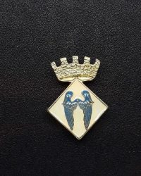 pin escut Aldover