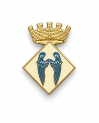 pin escudo aldover