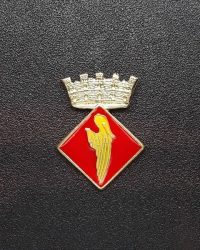 pin escut Aleixar, L'