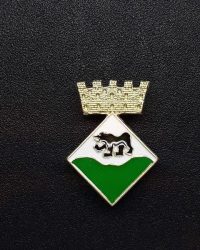 pin escut Alins