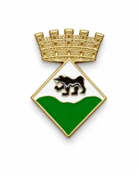 pin escudo alins