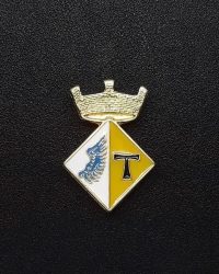 pin escut Alió