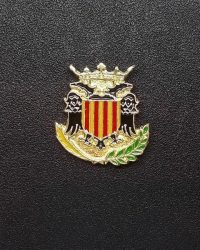 pin escut Almenar